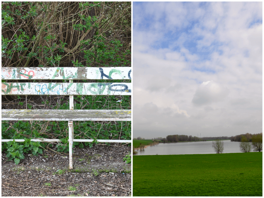 Nicht das Fernglas vergessen, es gibt unzählige Vögel zu beobachten