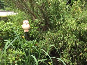  Noldes berühmte Eule aus dem Bild