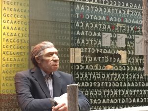 Neandertaler